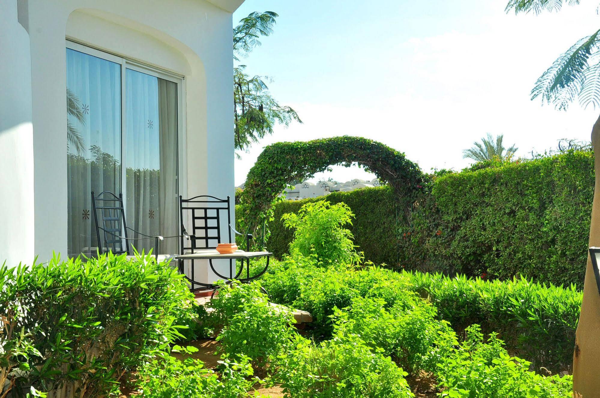 ﭽاز فنارة ريزيدنس 5* شرم الشيخ